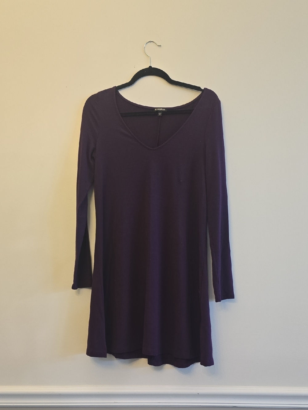 Express Long Sleeve V-Neck Swing Dress in Plum